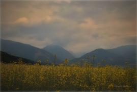 <p>Slovensko - Vysoké Tatry</p>